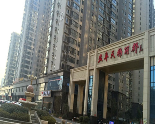 天鹅丽都